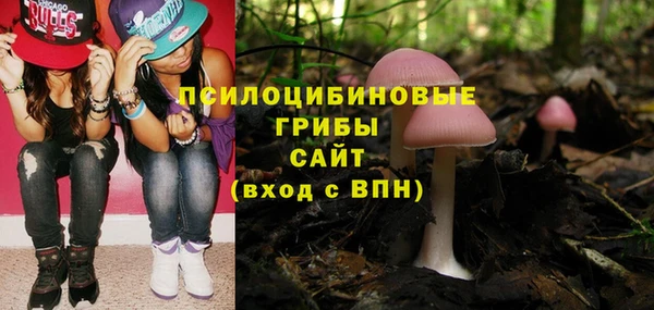 метадон Абаза