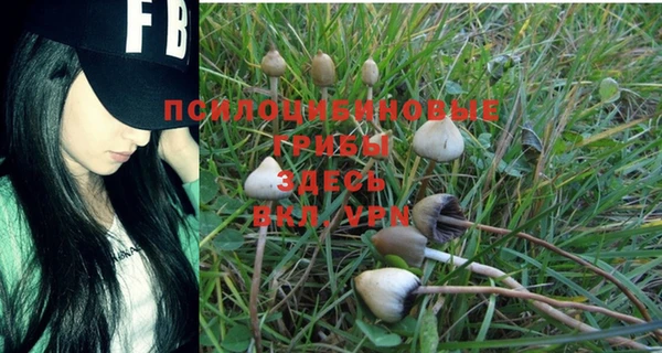 бошки Абдулино