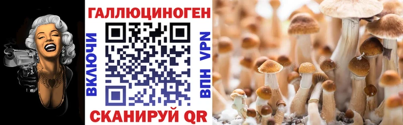 Псилоцибиновые грибы Cubensis  дарнет шоп  Задонск 